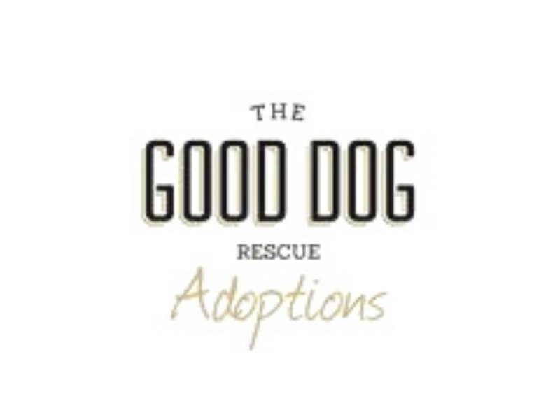 The Good Dog Rescue - Westminster, CO | Hoadin