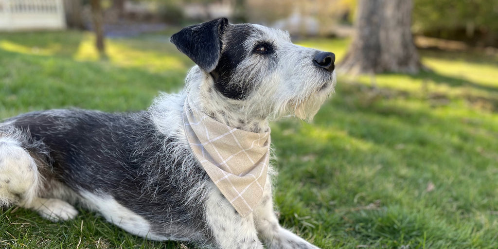 Bandanas | Hoadin