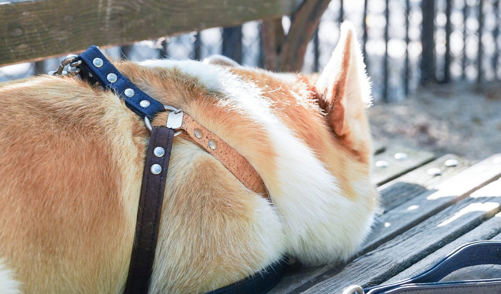 Harnesses | Hoadin