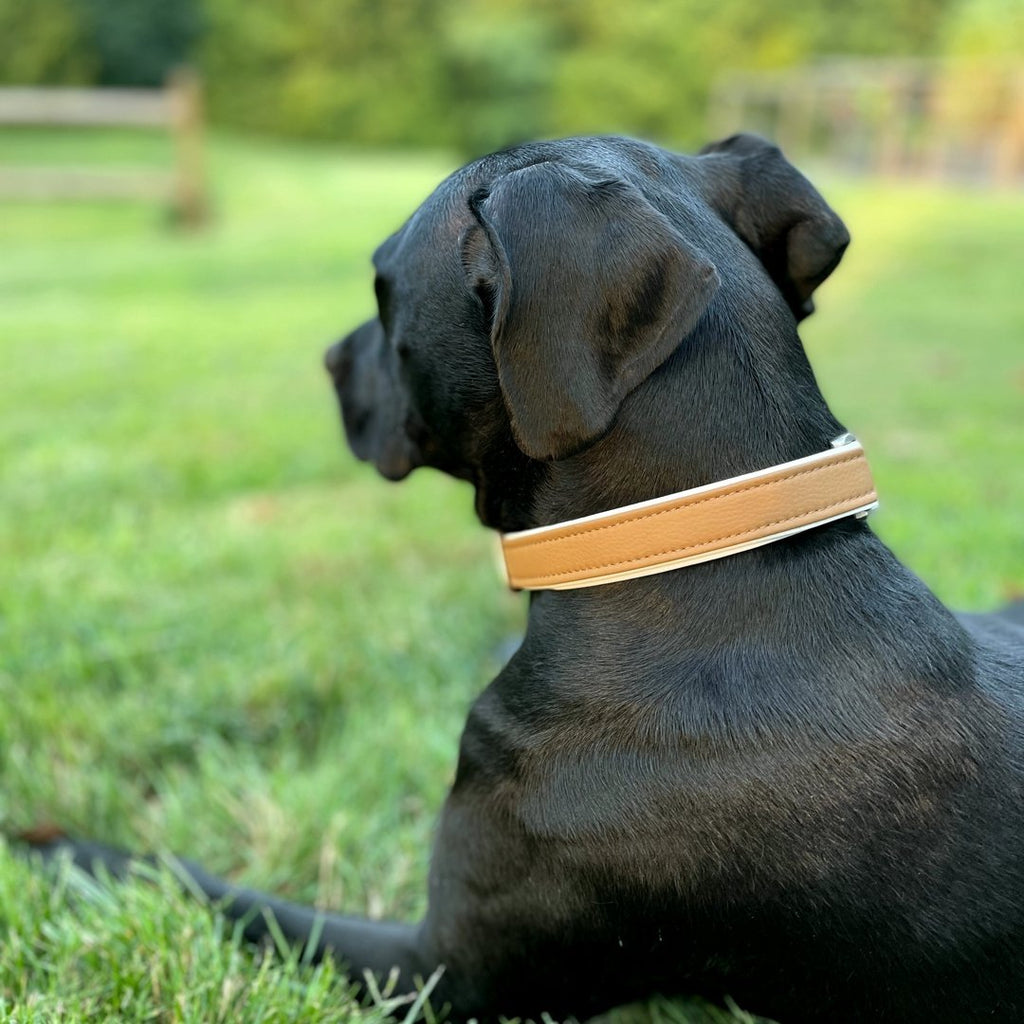 Caramel Sileather Dog Collar - Hoadin
