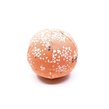 Coral Ball Dog Toy - Hoadin
