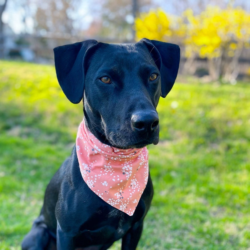 Coral Linen Bandana - Hoadin