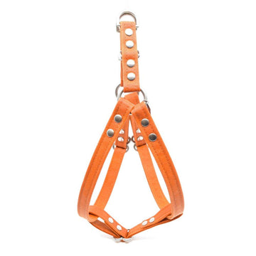 Orange Waxed Canvas Dog Harness - Hoadin
