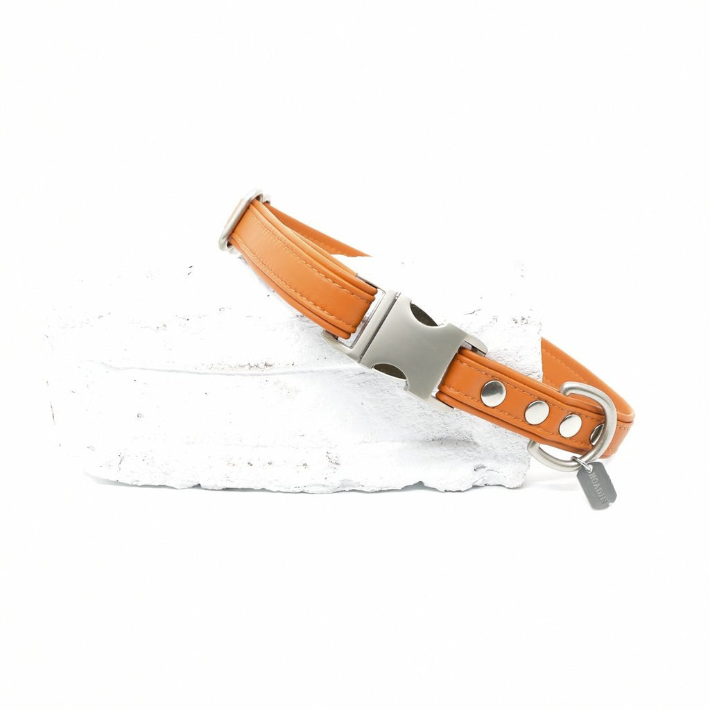 Pumpkin Sileather Dog Collar - Hoadin