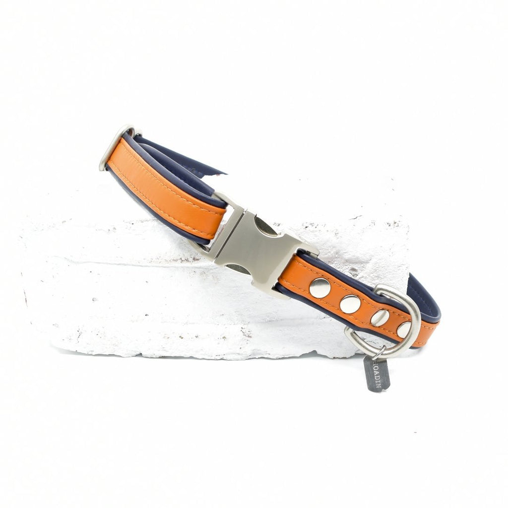 Pumpkin Sileather Dog Collar - Hoadin