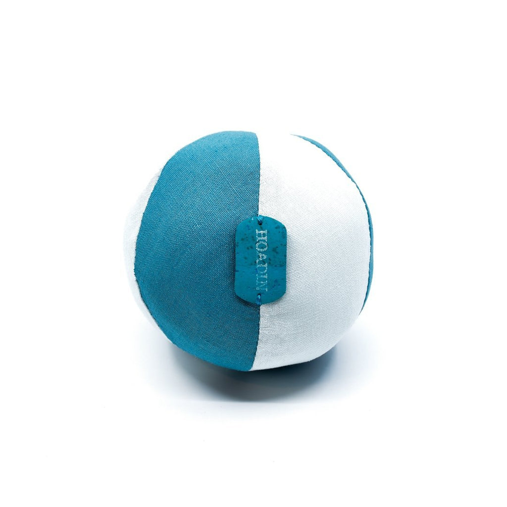 Teal & Ice Ball Dog Toy - Hoadin